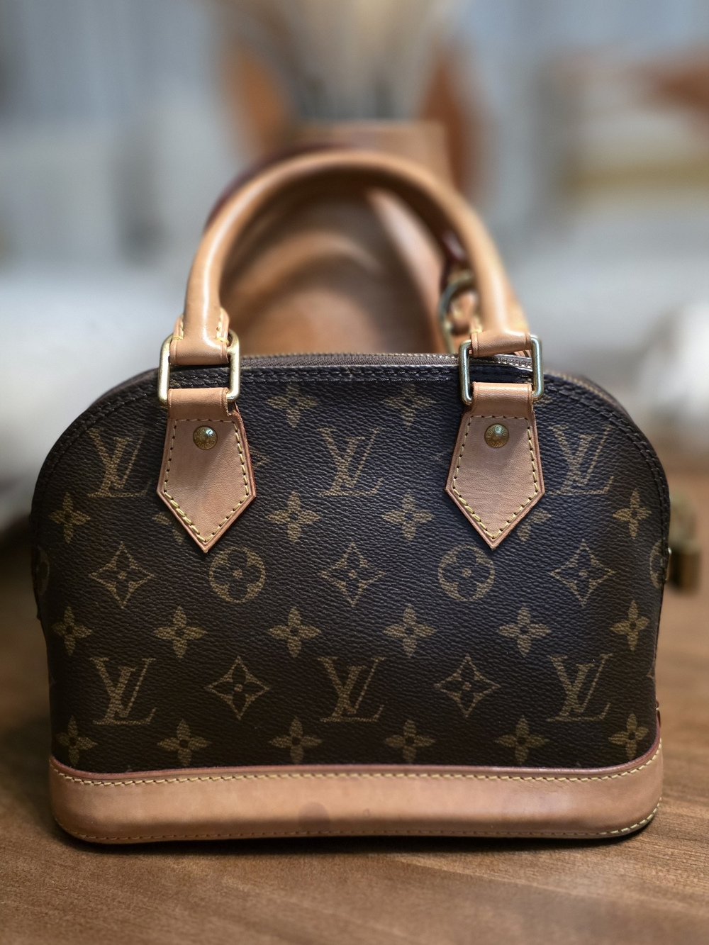 Louis Vuitton Monogram Dome Satchel in Brown and Tan Leather Trim